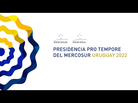 LXI Reunión Ordinaria del Consejo del Mercado Común y Cumbre de Presidentes / PORTUGUÉS