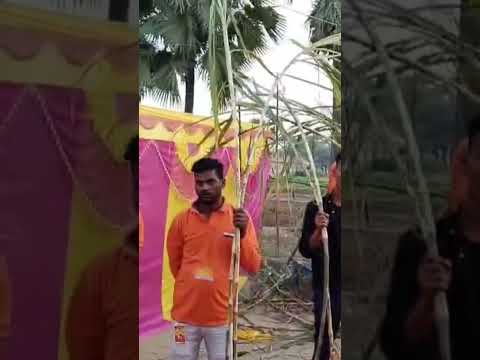 chhth Puja musehna #song #dj #music #chhathpuja #love #newsong #newmusic