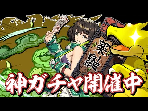 【神引き】新キャラのイズナと「アイツ」を狙って式神フェスを引いた結果…！？【パズドラ】