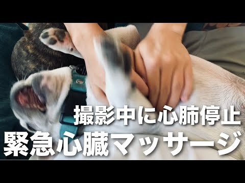 撮影中に心肺停止…カメラが捉えた衝撃の瞬間