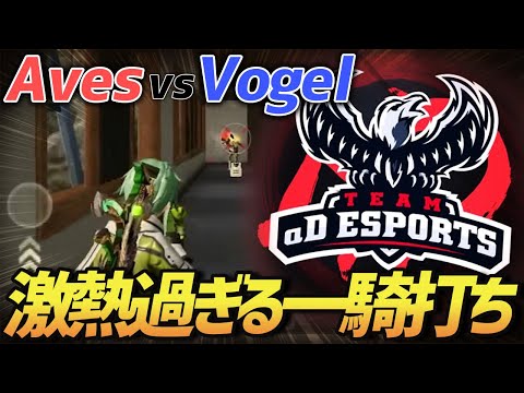 【荒野行動】激レア展開!!Aves vs Vogelラスト超シビアな接敵がガチでやばすぎたｗｗｗｗ