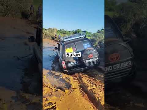 #offroad  #safari #tour #tourism #urlaub #toyota #landcruiser #phonk #go #cool #vacation