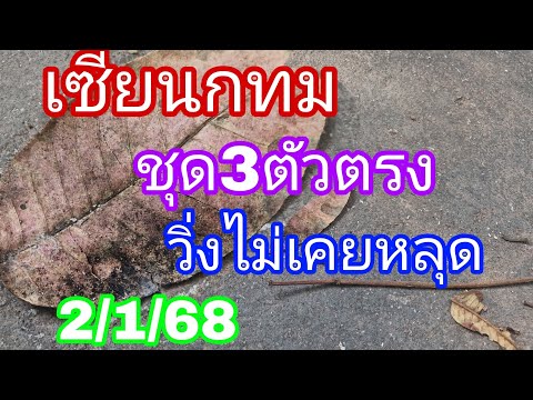 เซียนกทมปล่อยด่วนชุด3ตัวตรง216