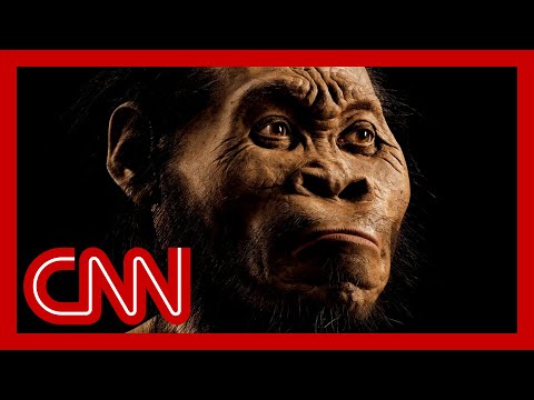 'That just died': Paleoanthropologist debunks myth about humans