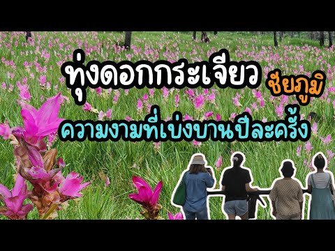 ชัยภูมิEP.1ตื่นตี4ขับรถ5