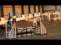 Show jumping horse Grand Prix 6yo prospect