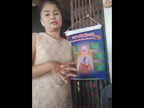 ของดี-กรีนชิ ของดี-กรีนชิ