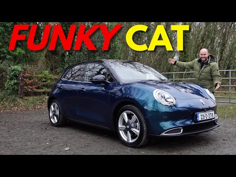 Ora Funky Cat review | Watch before you buy!!