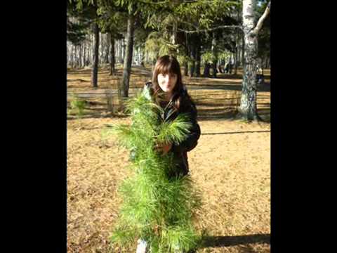 Альбом Дианы Домаевской Мой любимый город Томск.wmv