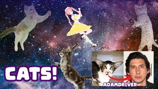 anime girl shows and ranks every cat subreddit she knows | #vtuber
