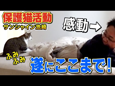 【保護猫活動】寝込んだ池崎さんに新入りネコの佐吉がまさかの行動を取りました【ねこおじさん】