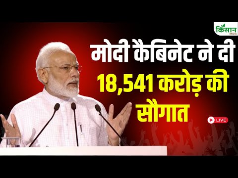 Modi Cabinet Meeting में बड़ा फैसला, 18,541 करोड़ की सौगात | PM Modi | Ashwini Vaishnaw
