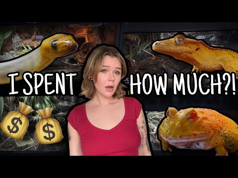How much did my REPTILE ROOM cost?! | Enclosure Price Breakdown