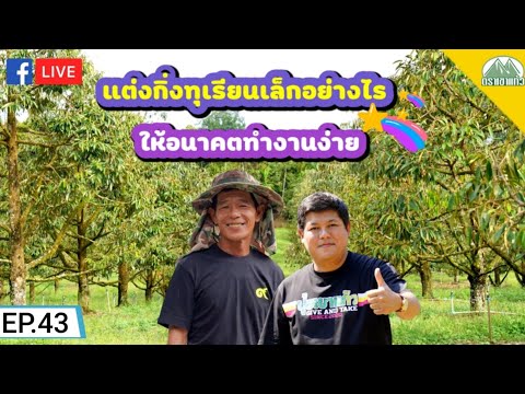 EP.43-แต่งกิ่งทุเรียนเล็กอย่าง EP.43-แต่งกิ่งทุเรียนเล็กอย่าง