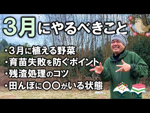 【自然農法/家庭菜園】３月にやるべきこと