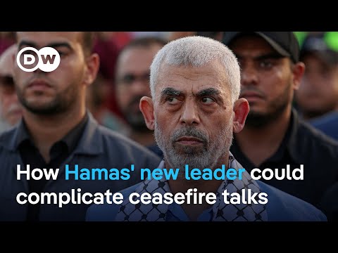Militant group Hamas names military commander Yahya Sinwar as new political leader | DW News