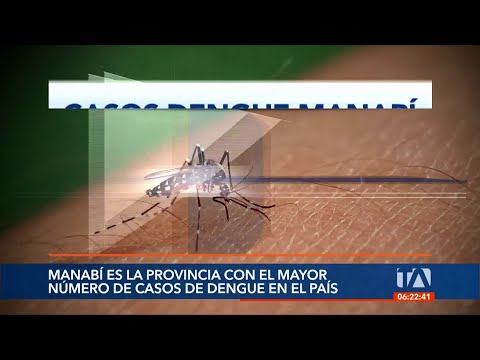 Manabí es la provincia con mayor número de casos de dengue en Ecuador