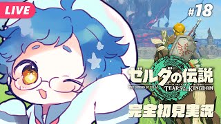 【🔵#ゼルダの伝説 ティアーズ オブ ザ キングダム #18】四地方終わったらなにする？まずは迷いの森マップ解放！Switch 2 Edit
