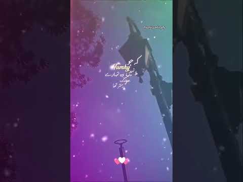 Allah par yakeen💫🫀💯#viral🔥#trending#islamicquotes_p4y #poetry❤#lines#quotes❤#explorislam