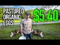 How I grow Organic Pastures Eggs for $5.40  Is it Worth it