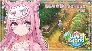 ISLAND LIFE #3 #ルマ島 #lumaisland #猫街もも