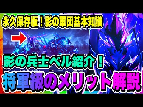 【俺アラ】将軍級へ進級するべき？影の軍団基本知識まとめ！影の兵士ベルについても紹介！！！【俺だけレベルアップな件・ARISE・公認クリエイター】