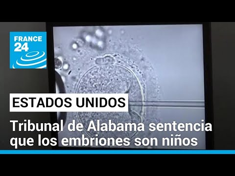 Embriones congelados son niños: polémico fallo del Tribunal de Alabama, EE. UU. • FRANCE 24