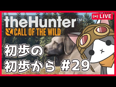 thumbnail_yIM4gG-krsg