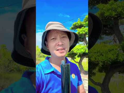SAI LẦM KHI CHƠI CÂY ĐANG SỐT #tuanbonsai