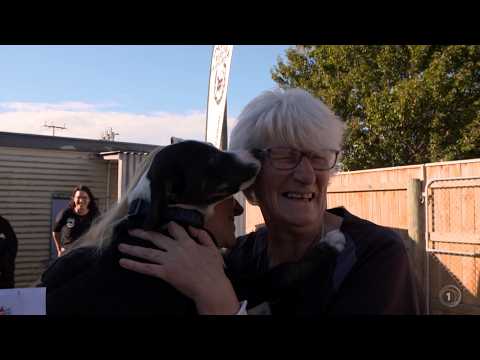 ASB Good as Gold: Gaye Campbell