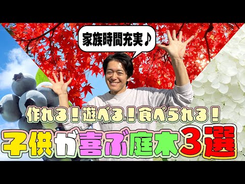 【どうせ植えるなら】子供と楽しめる植木おすすめ3選