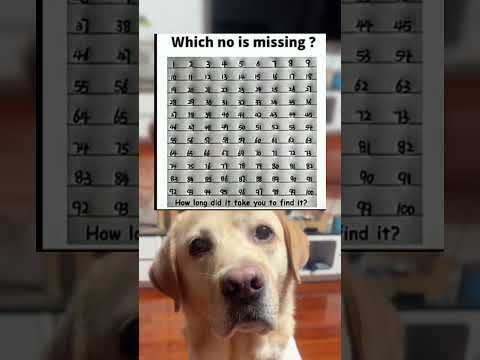 #memes #story #dog #shorts #pets