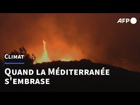 Les pays de la zone Méditerranée luttent contre chaleurs et incendies suffoquants | AFP