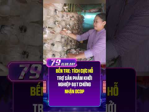 Bến Tre: Tích cực hỗ trợ sản phẩm khởi nghiệp đạt chứng nhận OCOP

Ngày 20/4, bà Nguyễn Thanh Hiền,
