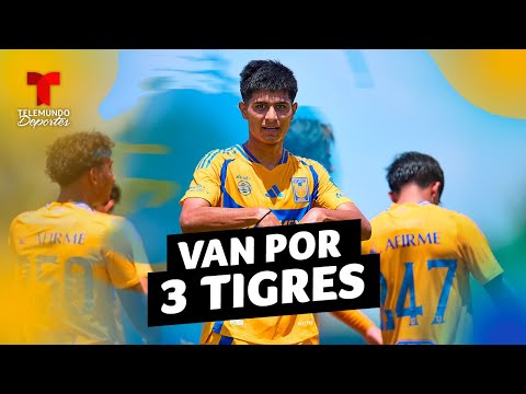 Bayern Munich buscaría fichar a 3 jóvenes promesas de Tigres | Telemundo Deportes