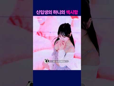 신입생 하니의 섹시함 #엑셀방송 #여캠 #하이브  #유하니