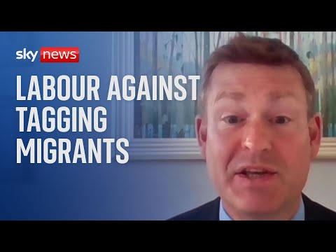 Tagging migrants is a government 'gimmick' - Labour