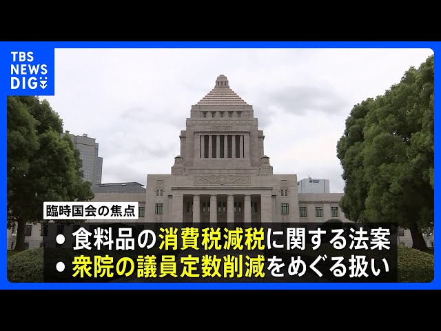 Image of Tax Relief and Electoral Reform in Focus at Next Extraordinary Diet Session
