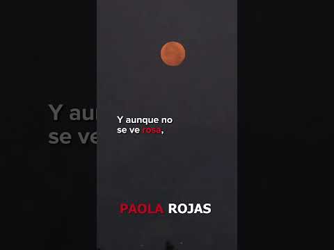 Así fue la Luna Rosa que iluminó el cielo anoche. | Paola Rojas