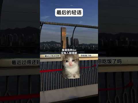 猫の動画サムネイル - 最后的轻语 #猫meme #猫meme剧场 #猫meme小剧场 #内容过于真实  #故事 #貓 #猫猫meme小剧场 #喵不可言