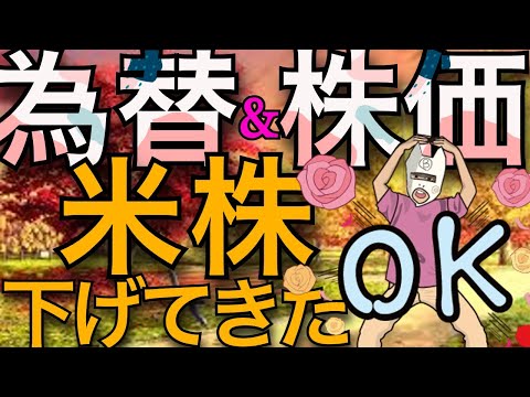 【fxライブ】11/15 日経平均とsp500下げてきた。