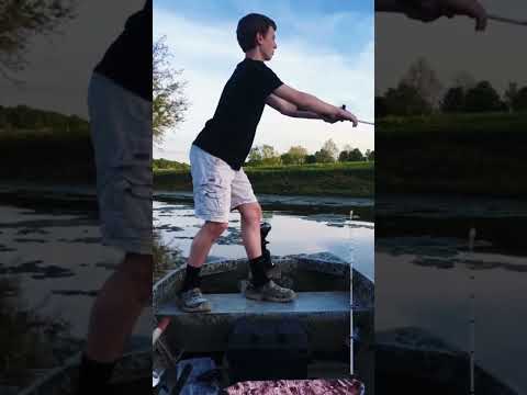 Funny failure #PetFYP #funnyfilters #funnychallenge #filterchallenge #trynottolaugh #usa