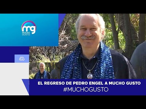 Pedro Engel volvió a Mucho Gusto para hablar de la protección de los ángeles - Mucho Gusto