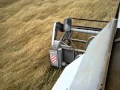 Пшеница: vector 420