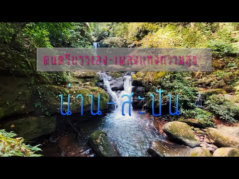 ดนตรีบรรเลงท่วงทำนองแห่งความส