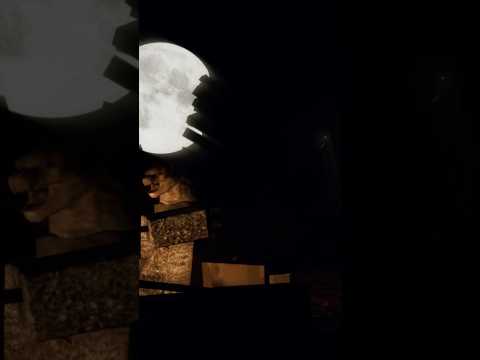 Rake theri watching from the shadows #jurassicblocky #fypシ #halloween #roblox ￼