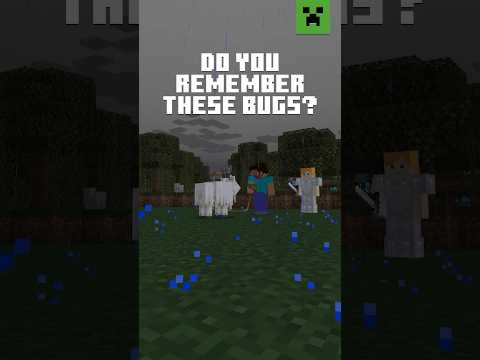 WHAT IS YOUR FAVORITE BUG FROM MINECRAFT?