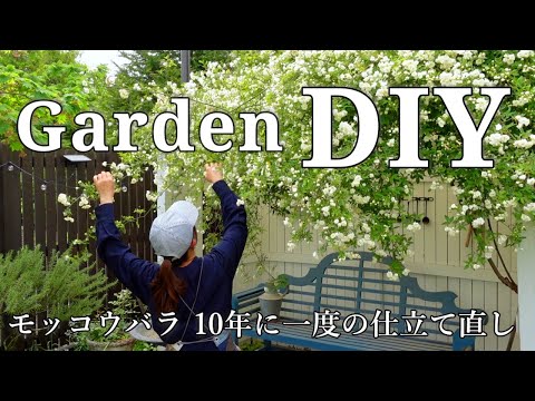 【庭DIY】10年に一度のモッコウバラ仕立て直し｜花と小屋と薪ストーブのある暮らし