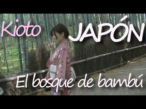 JAPÓN: Vídeo documental de Kioto [18/22] - Arashiyama, el bosque de bambú