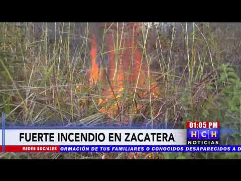 Incendio en zacatera amenaza viviendas en col. Río Grande